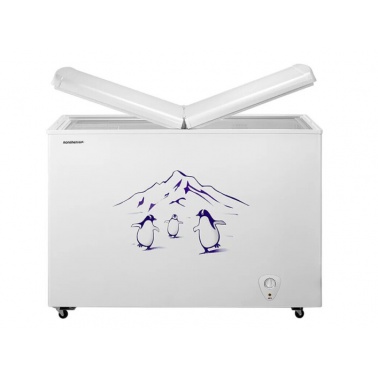容声电冰箱(Ronshen) BCD-273K 273升双温冷柜 卧式冰箱 家用商用冰柜 时尚外观 白色