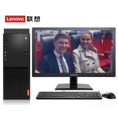 联想(Lenovo）启天M410-D201 (i5-7500/4GB/128G SSD + 1TB/DVD刻录/19.5寸显示器) 台式计算机